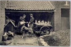 Belgien Frau Hundekarren