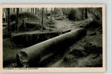 64686 W6147 Felsberg - Riesensäule