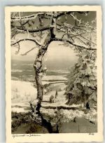 Grunwald Zieleniec Foto AK Kirche Winter