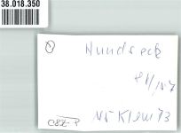 77815 W7580 Hundseck , Baden FOTO KEINE AK Seilbahn Winter Ort handschriftlich Foto Original aus Archiv eines Ansichtskartenverlages
