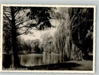 10115 W1000 Spandau Foto AK Südpark