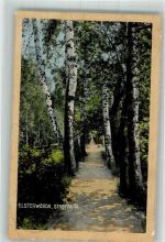 04910 O7904 Elsterwerda 1911 - Stadtpark
