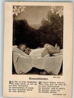 Himmelsblümchen Gedicht v. Emilie Charlotte Leich B. u. K.i.L. Nr. 1000/1 Löwe, M. Künstlerkarte