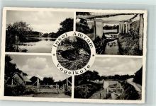 Amrum - Vogelkoje Seevogel
