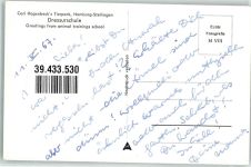 W2000 Stellingen Dressur Schule Ponys Zebra Affen Schweine Bär Robbe Zoo Foto AK