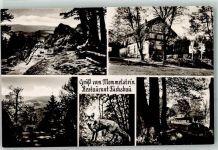 98599 O6083 Brotterode - Gasthaus Fuchsbau Mommelstein Fuchs