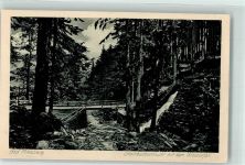 Bad Flinsberg Swieradow-Sdroj - Steinbchschlucht Wasserfall