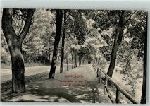 Karlovy Vary Karlsbad - Promenade an der Tepl