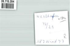 58239 W5840 Westhofen , Westf FOTO KEINE AK Wohnhäuser Ort handschriftlich Foto Original aus Archiv eines Ansichtskartenverlags
