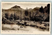 76855 W6747 Annweiler am Trifels Gebrauchsspuren Im bot. Garten m. Blick auf Trifels u. Anebos