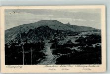 Petersdorf Piechowice 1924 Foto AK Riesengebirge Mannsteine Hüttenstempel Schneegrubenbaude