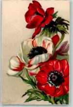 Nr. 204 Blumen Verlag Ballerini & Fratini Chiostri, C. & S. Künstlerkarte
