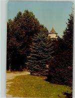 25712 W2224 Burg Dithmarschen FOTO KEINE AK Aussichtsturm Ort handschriftlich Foto Original aus Archiv eines Ansichtskartenverlags