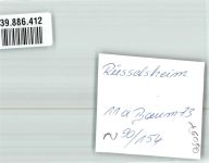 65428 W6090 Rüsselsheim FOTO KEINE AK Ort handschriftlich Foto Original aus Archiv eines Ansichtskartenverlags