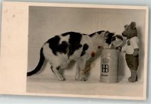 Teddybär Bierkrug Hofbräuhaus Katze