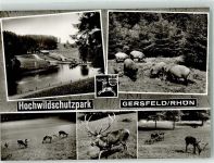 36129 W6412 Gersfeld Rhön Foto AK Hochwildschutzpark