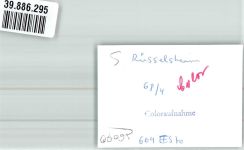 65428 W6090 Rüsselsheim FOTO KEINE AK Mersedes Straße Ort handschriftlich Foto Original aus Archiv eines Ansichtskartenverlags