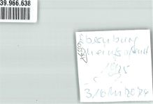 55583 W6552 Bad Münster-Ebernburg am Stein FOTO KEINE AK Schwimmbad Ort handschriftlich Foto Original aus Archiv eines Ansichtskartenverlags