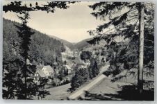 98666 O6121 Fehrenbach - Totalansicht