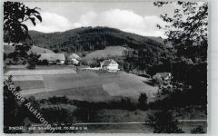 79683 W7861 Bürchau