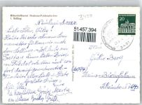 37603 W3450 Fohlenplacken