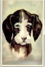 Portrait Hund Künstlerkarte
