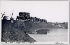 Montevideo FOTO KEINE AK Wagen