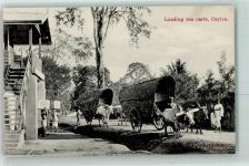 Loading tea carts Motiv Sri Lanka / Ceylon