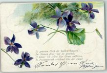 Blume