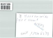76596 W7564 Herrenwies , Baden FOTO KEINE AK Kath. Pfarramt Esszimmer Foto Original aus Archiv eines Ansichtskartenverlages Ort handschriftlich