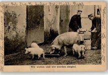 Schwein
