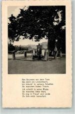 37242 W3437 Bad Sooden-Allendorf - Zimmersbrunnen mit der alten Linde