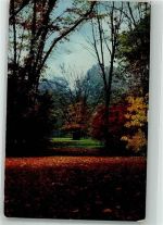 01067 O8000 Dresden 1911 Foto AK Großer Garten im Herbst
