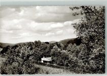29614 W3040 Willingen - Haus Martina Auf dem Orenberg