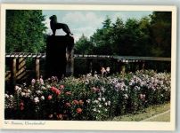 42103 W5600 Barmen Foto AK Denkmal Ehrenfriedhof