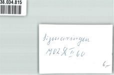 72488 W7480 Sigmaringen - Schloss Foto Original aus Archiv eines Ansichtskartenverlages