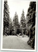 57319 W5920 Laibach FOTO KEINE AK Winter Ort handschriftlich Foto Original aus Archiv eines Ansichtskartenverlages
