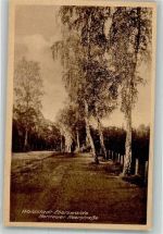 16225 O1300 Eberswalde Foto AK Bernauer Heerstrasse