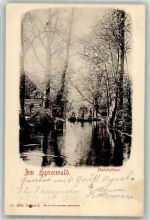 03222 O7543 Lehde b Lübbenau 1901 Foto AK Spreewald Dolzkefliess