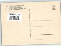 34508 W3542 Willingen (Upland) , Waldeck Foto AK Cafe Gasthaus Müller und v. d. Heide