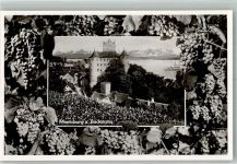 W7758 Meersburg , Bodensee Schloss Meersburg eingerahmt von Weinreben Wein Foto AK