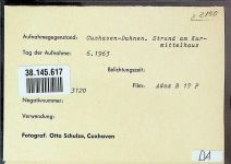 27472 W2190 Duhnen FOTO KEINE AK Foto montiert auf Karton Strand mit Kurmittelhaus Fotograf Otto Schulze
