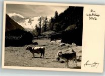 6290 Mayrhofen Foto AK Alm in der Stillupp Ort lt. Verlag