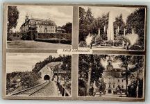 09577 O9387 Niederwiesa 1918 - Schloss Lichtenwalde Schlosspark Eisenbahntunnel Verlag Brück & Sohn 020392 Feldpost WK I Chemnitz