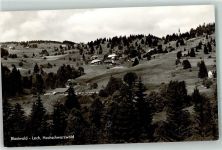 79859 W7826 Blasiwald