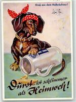 Hofbräuhaus Bierkrug Spruch Verlag Lengauer Nr.2109 Dackel Künstlerkarte