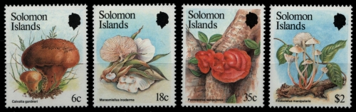 Salomoninseln 1984 - Mi-Nr. 522-525 ** - MNH - Pilze / Mushrooms