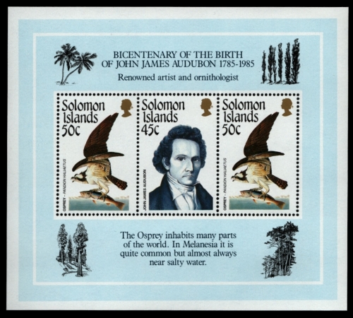 Salomoninseln 1985 - Mi-Nr. Block 18 ** - MNH - Vögel / Birds - Audubon