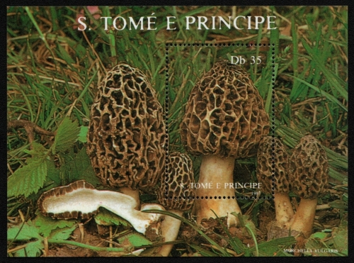 São Tomé & Príncipe 1987 - Mi-Nr. Block 173 ** - MNH - Pilze / Mushrooms