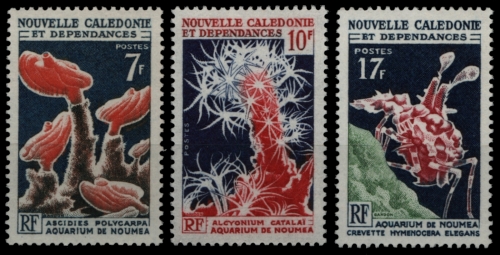 Neukaledonien 1964 - Mi-Nr. 402-404 ** - MNH - Meeresleben / Marine life